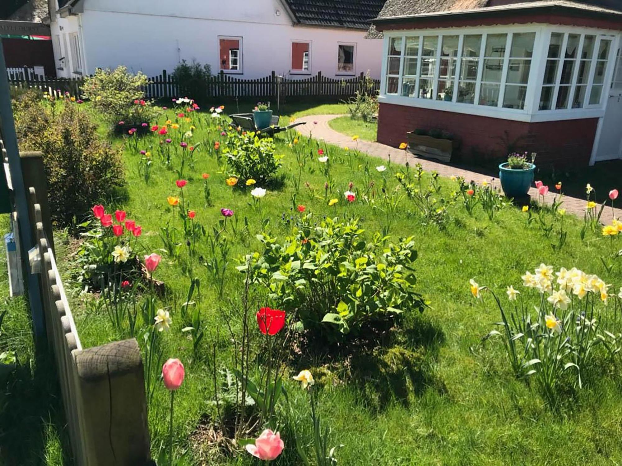 Hüs Sanskiin Ferienwohnung *Hopelfask* Suddorf Exterior foto